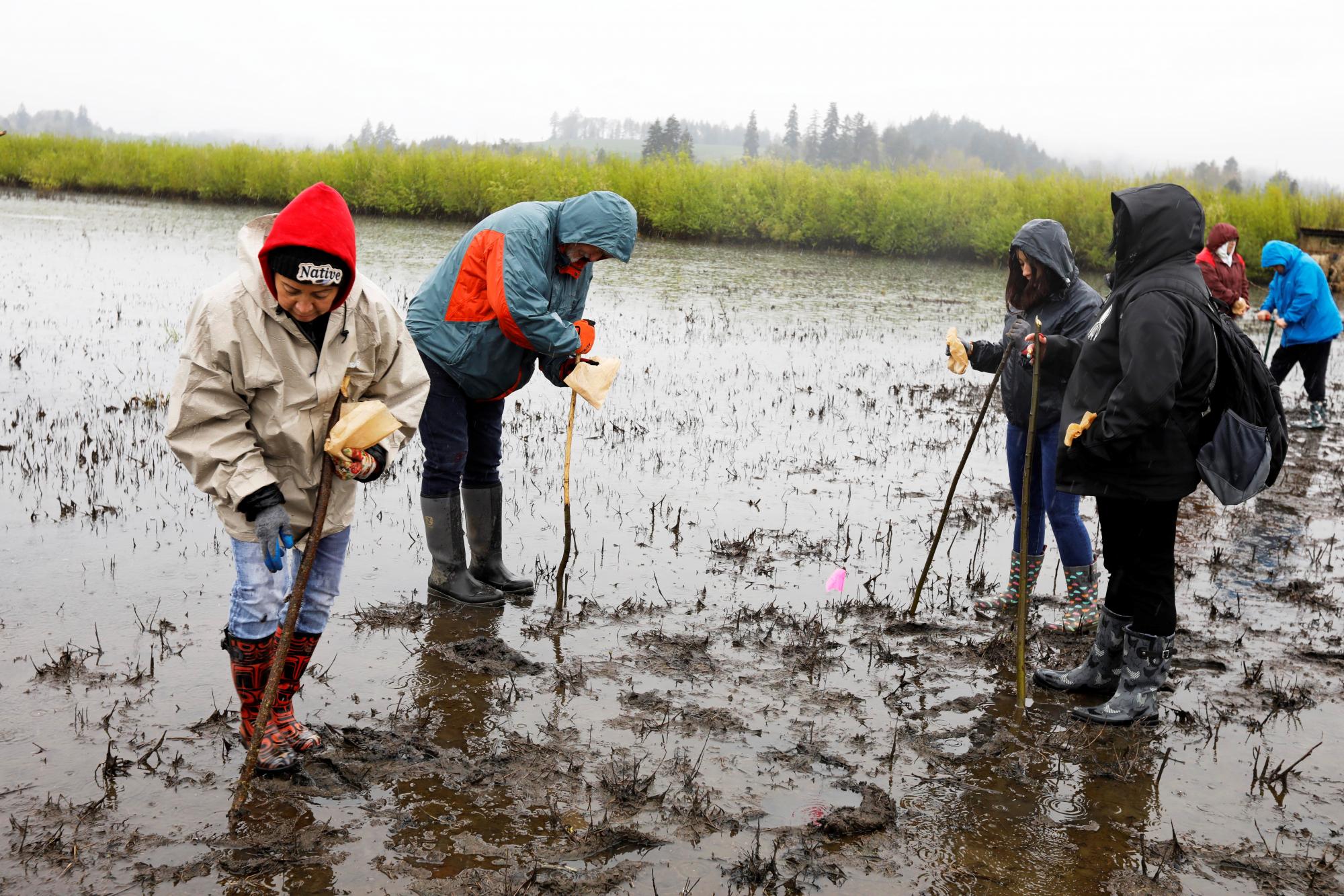 Pacific Assists Tribes of the Grand Ronde Restore Wapato Lake Near